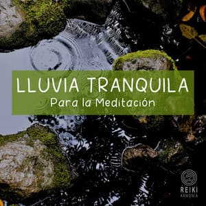 Lluvia Tranquila para la Meditación - Reiki Armonía