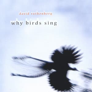Why Birds Sing - David Rothenberg