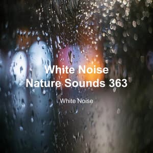 White Noise 363 - White Noise