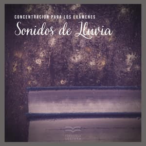 Concentración para los Exámenes: Sonidos de Lluvia - Fondo de la lectura