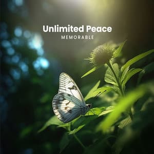 Unlimited Peace - Memorable