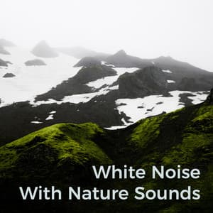 White Noise with Nature Sounds - Relaxing Sounds of Nature White Noise Waheguru