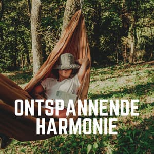 Ontspannende Harmonie - Ontspannende Muziek