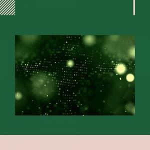 Echoes of Tropical Stories - Beach Jazz Playlist