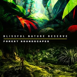 Blissful Nature Reserve - Forest Soundscapes