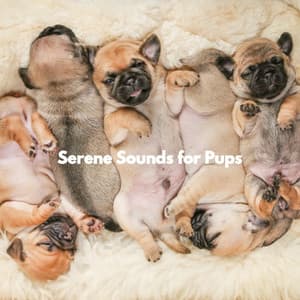 Serene Sounds for Pups - Santiago Lorenzo Amor