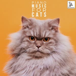 Piano Music For Cats - Jingle Cats