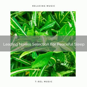 Leading Noises Selection For Peaceful Sleep - Calming Brown Restful Sounds