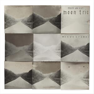 Monochromes - Jeroen van Vliet Moon Trio