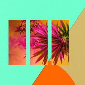 Echoes of Intense Seconds - No Box Sounds