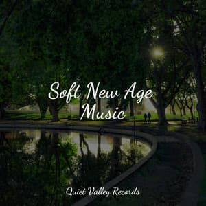 Soft New Age Music - Naturaleza Relajacion