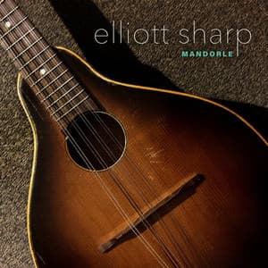 Mandorle - New Music for Mandolin - Elliott Sharp