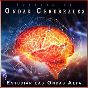 Terapia de Ondas Cerebrales: Concentración de Ondas Alfa - Estudiar Las Ondas Alfa