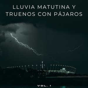 Lluvia Matutina Y Truenos Con Pájaros Vol. 1 - Tormenta de truenos y lluvia