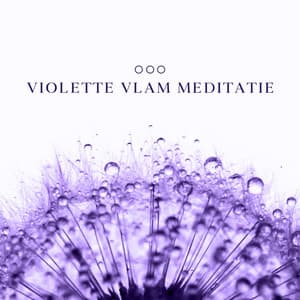 Violette vlam meditatie: Yoga muziek voor ontspanning - Ontspanning Muziek Club