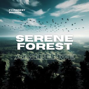 Serene Forest Ambience - FX Forest Sounds