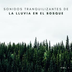 Sonidos Tranquilizantes De La Lluvia En El Bosque Vol. 1 - Trabajar desde Casa Playlist