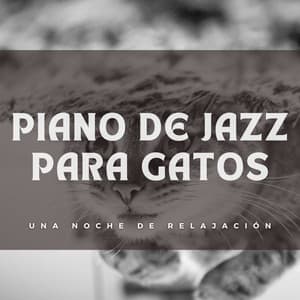 Piano De Jazz Para Gatos: Una Noche De Relajación - Equipo de piano relajante