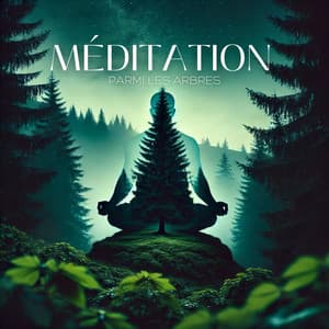 Méditation parmi les arbres - Musique apaisante de fond new age