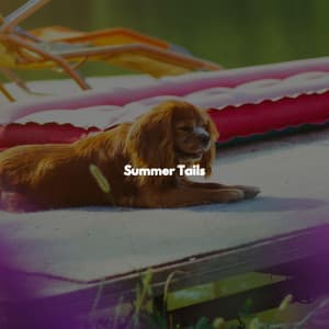 Summer Tails - Cafe Music