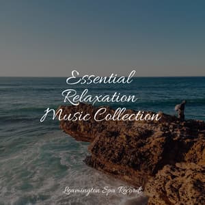 Essential Relaxation Music Collection - Nature's Symphony