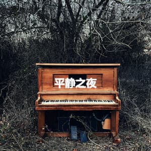 平静之夜 - Vintage Jazz