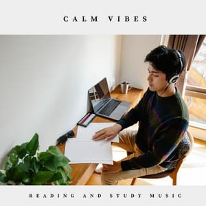 Calm Vibes: Study & Relax - Reading and Study Music