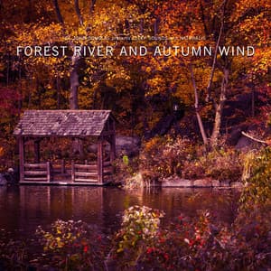 Forest River and Autumn Wind - Dr. John Douglas