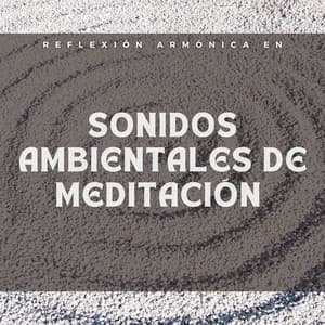Reflexión armónica en sonidos ambientales de meditación - Música Ambiente
