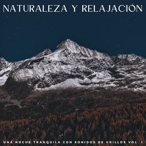 Naturaleza Y Relajación: Una Noche Tranquila Con Sonidos De Grillos Vol. 1 - Artistas de sonidos de la naturaleza