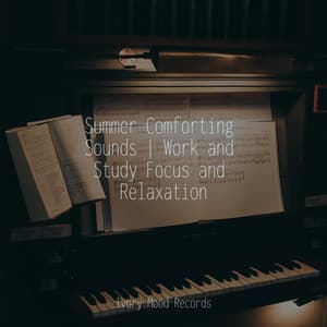 Summer Comforting Sounds | Work and Study Focus and Relaxation - Ivory Mood
