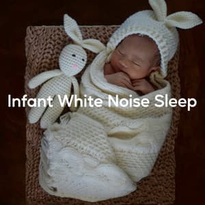 Infant White Noise Sleep - Discovery White Noise