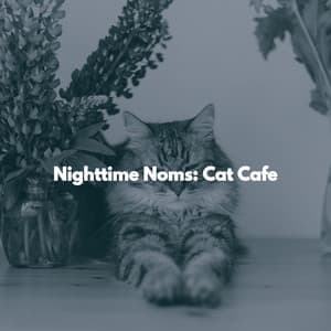 Nighttime Noms: Cat Cafe - Sleepy Cats