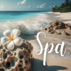 SPA indonesiane: Trattamenti rilassanti esotici, Musica calma balinese, Massaggio tropicale - Musica Relax Academia