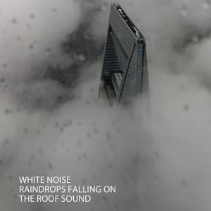 White Noise: Raindrops Falling On The Roof Sound - White Noise Android