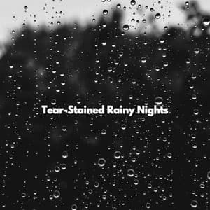 Tear-Stained Rainy Nights - Airport Lounge Jazz Playlist