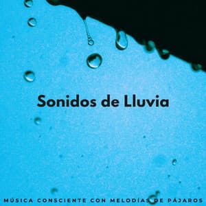 Sonidos De Lluvia: Música Consciente Con Melodías De Pájaros - HD lluvia y agua