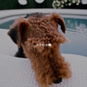 犬との日曜 - New York City Jazz Club