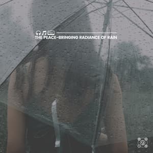 Rain's Calming Grace - Natural Rain Sounds for Sleeping