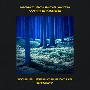 Night Sounds with White Noise for Sleep or Focus Study, Loopable - Elements of Nature