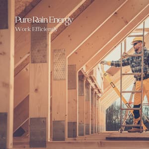 Pure Rain Energy: Work Efficiently - The Natural Healing