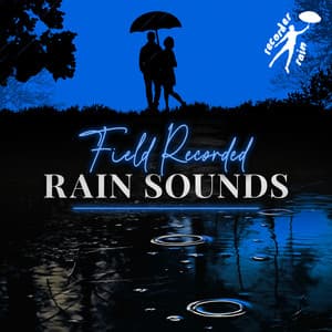 Field Recorded Rain Sounds - Recorder Rain