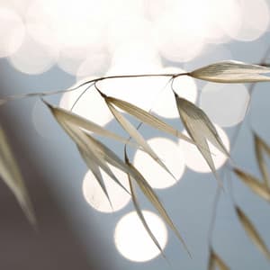 Spirited Smooth Jazz Chill Out - Background for Easy Summers - Jazz Experience for Reading