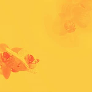 Trio Jazz - Background Music for Creative Sky - Easy Sunday Listening