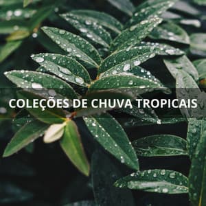 Coleções De Chuva Tropicais - Música Para Cães