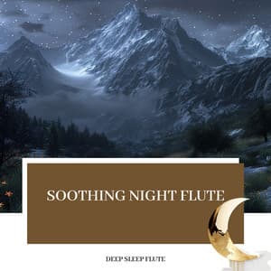 Soothing Night Flute: Embrace the Silence - Deep Sleep Flute