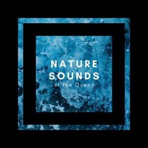 Nature Sounds of the Ocean - Ocean Waves