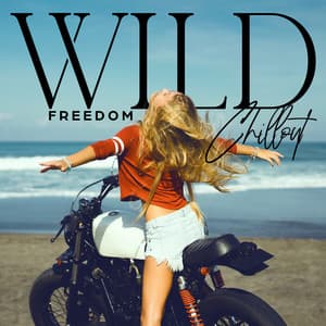 Wild Freedom Chillout: Rhythms of The Night - Electronic Music Zone