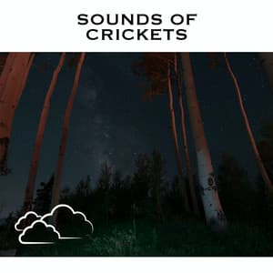 Sounds Of Crickets - Cricket Sounds