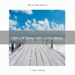 Story of Sleep with Lovely Noise - Deep Sleep Noises